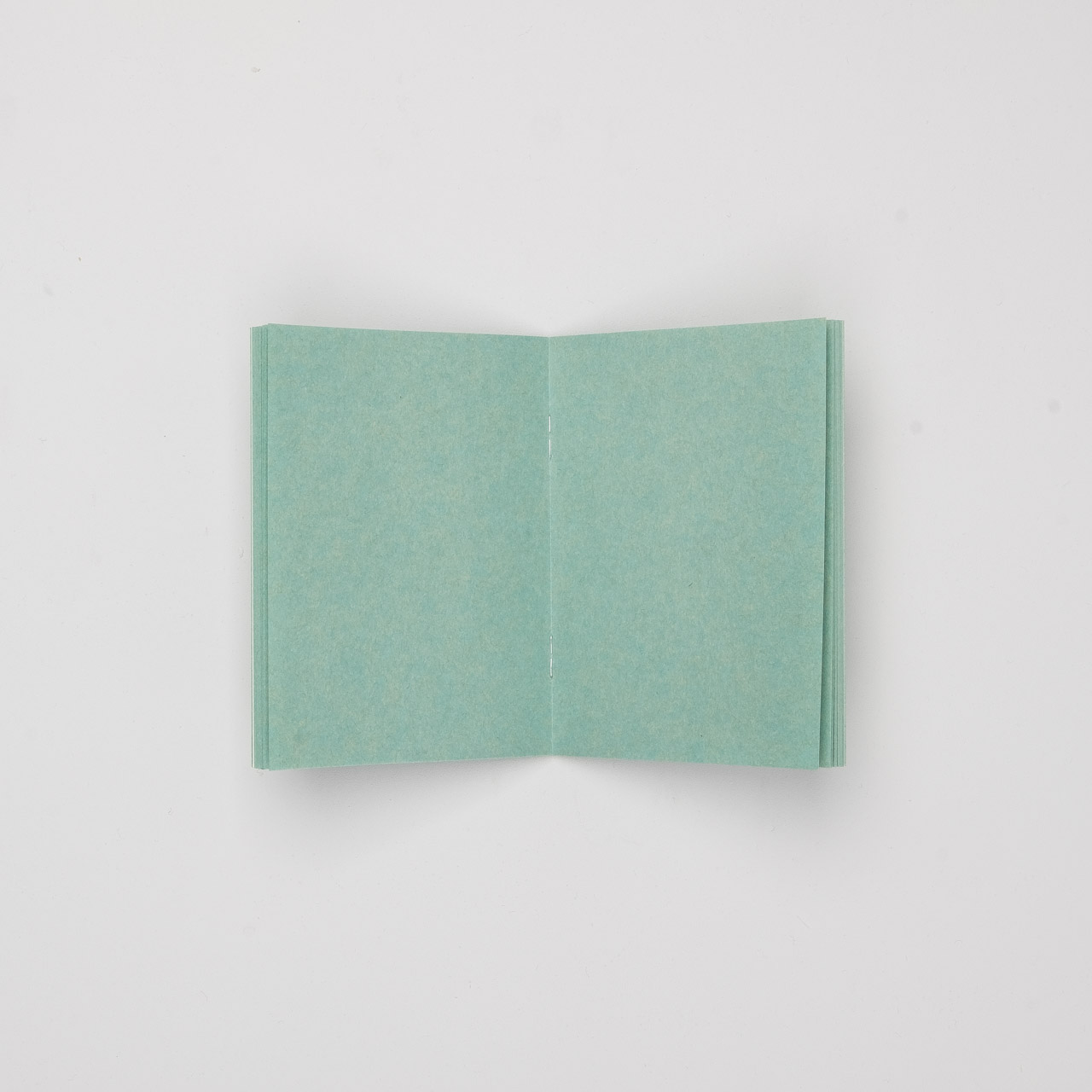 STORE ONLY: Traveler's Factory Einlage Passport Kraftpapier türkis