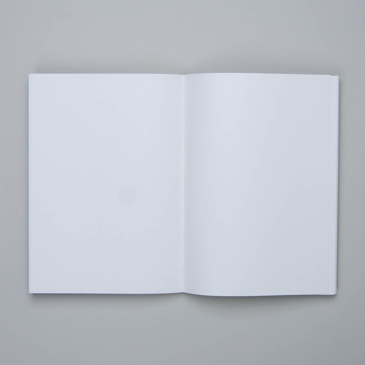APICA Premium C.D. Notizbuch blanko