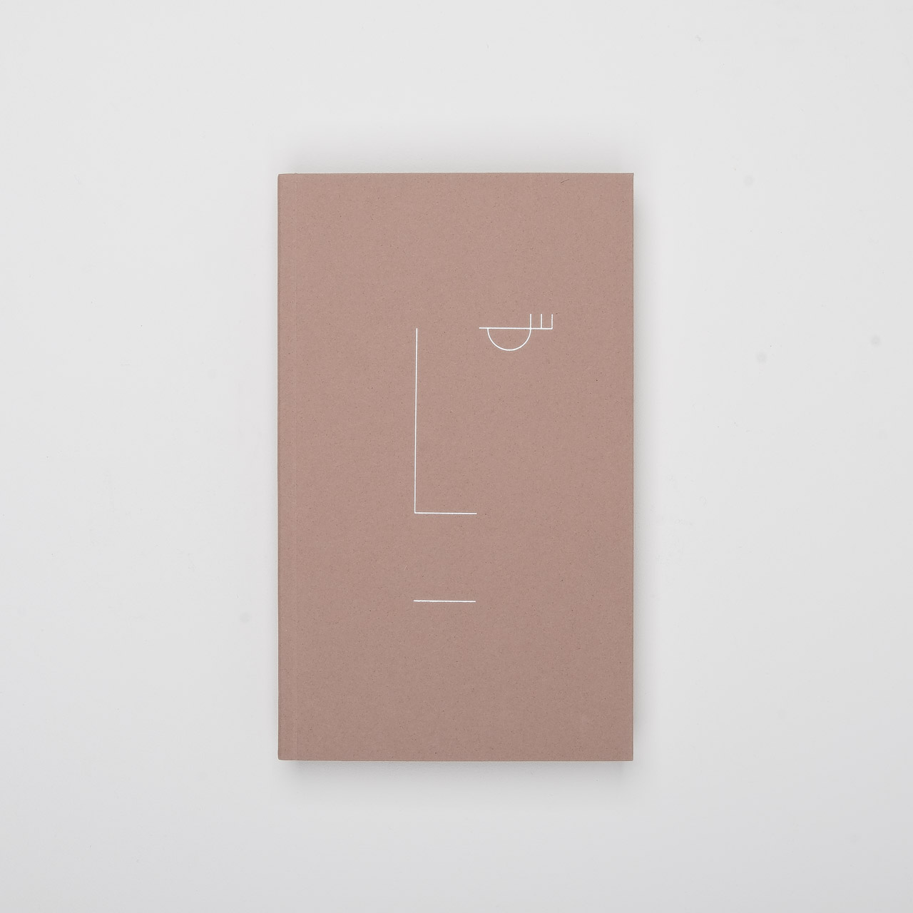 Polnisches Notizbuch "LICO" earth