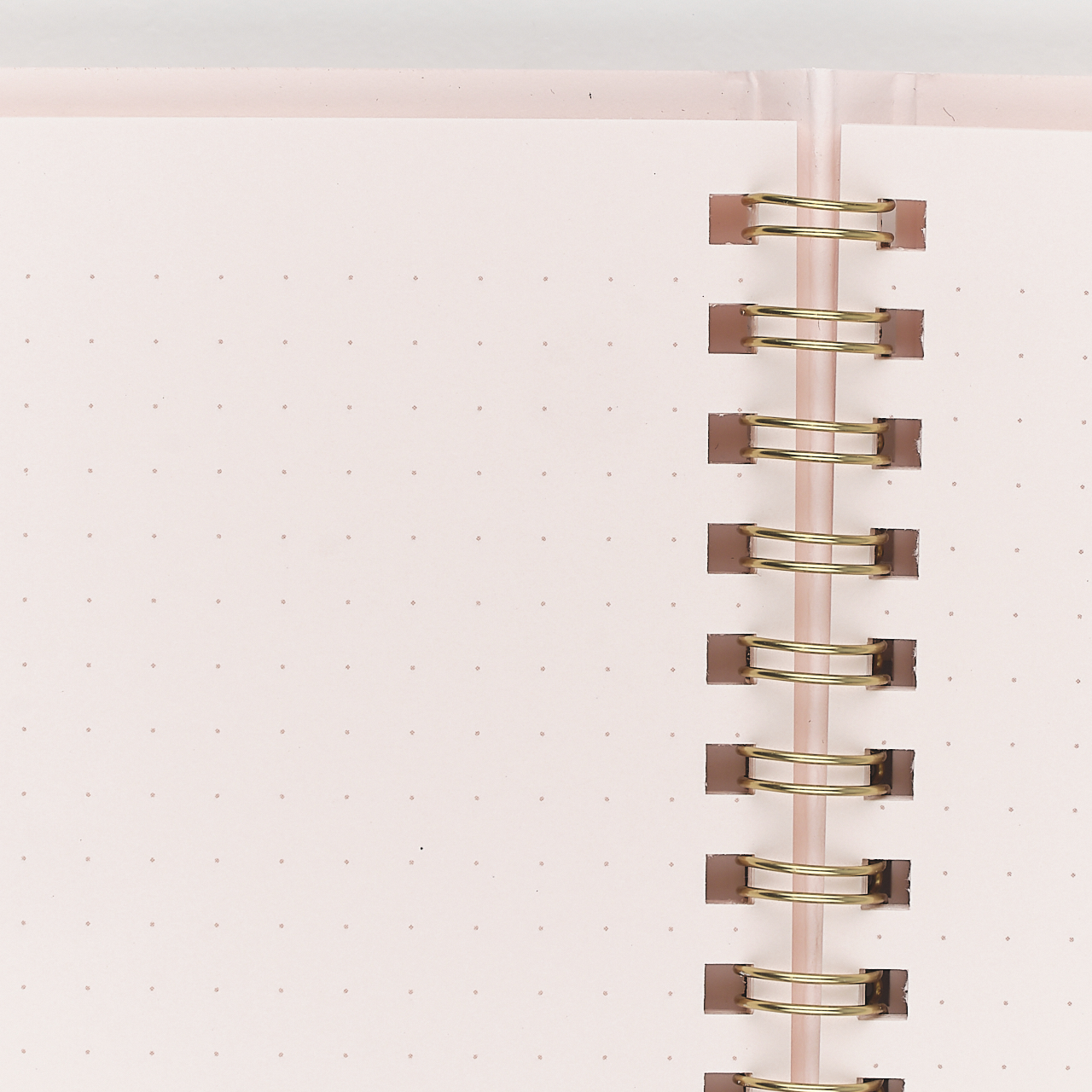 Midori Ringbuch Dot Grid rosa (A5)