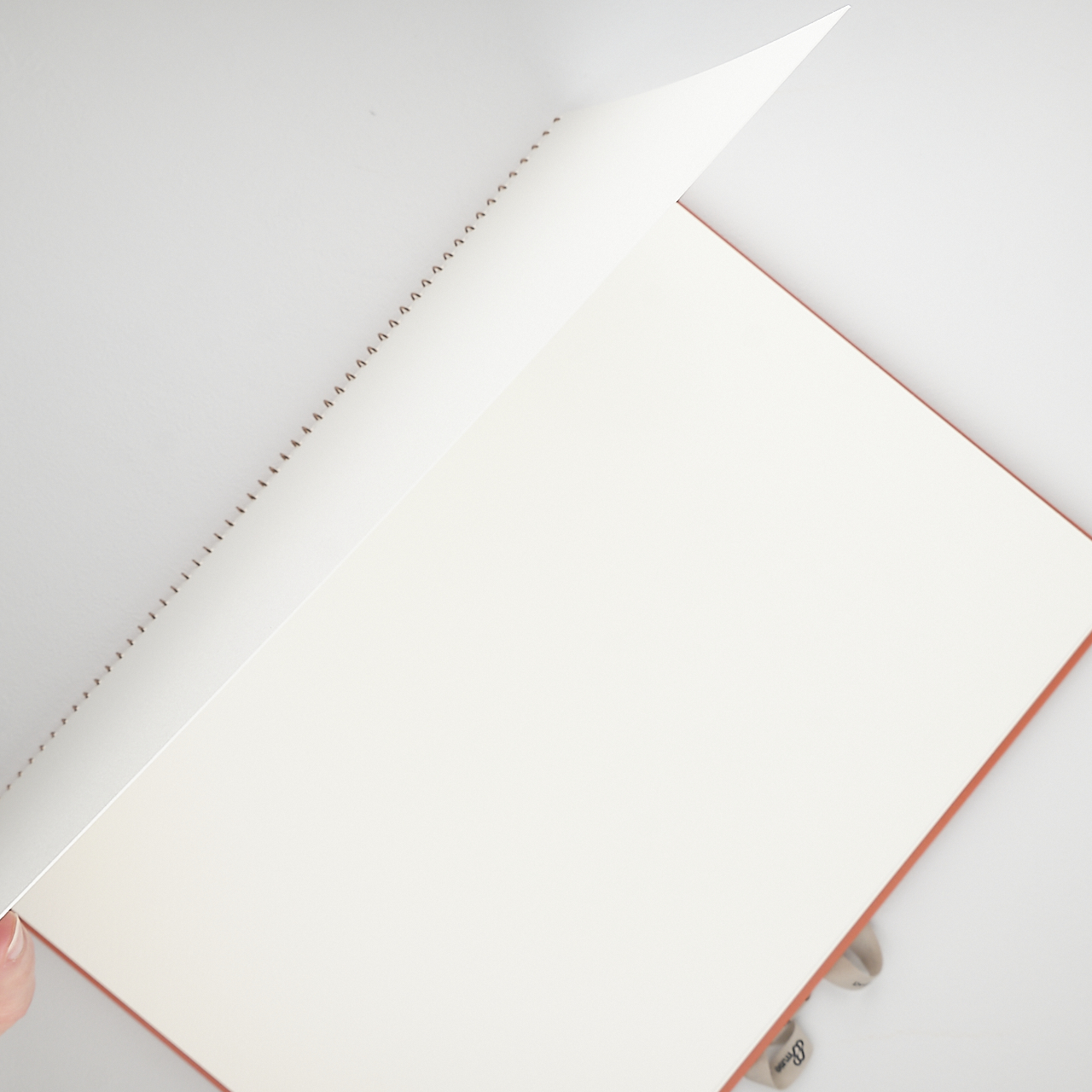 Muse Aquarell Ringbuch Lamp Light F4