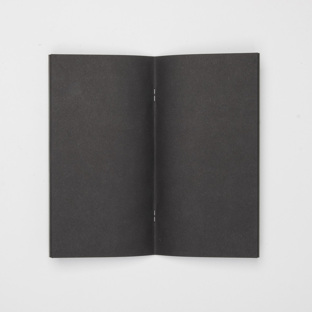 Traveler's Factory Notebook Regular Kraftpapier schwarz
