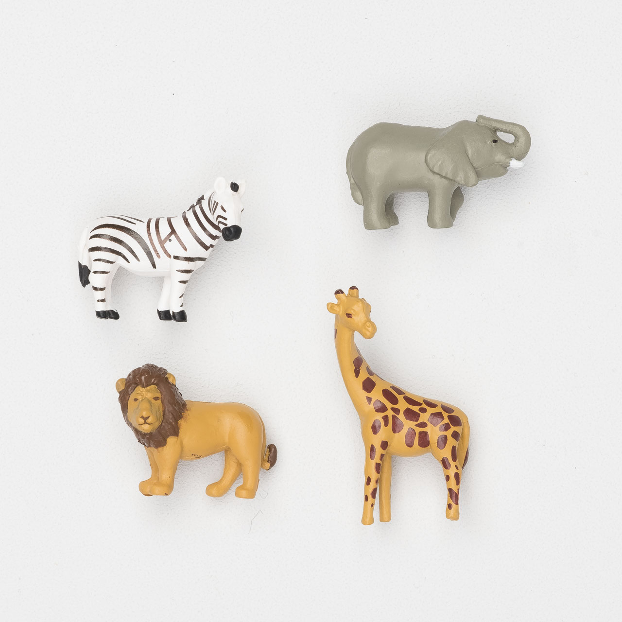 Midori Minimagnete "Safari"
