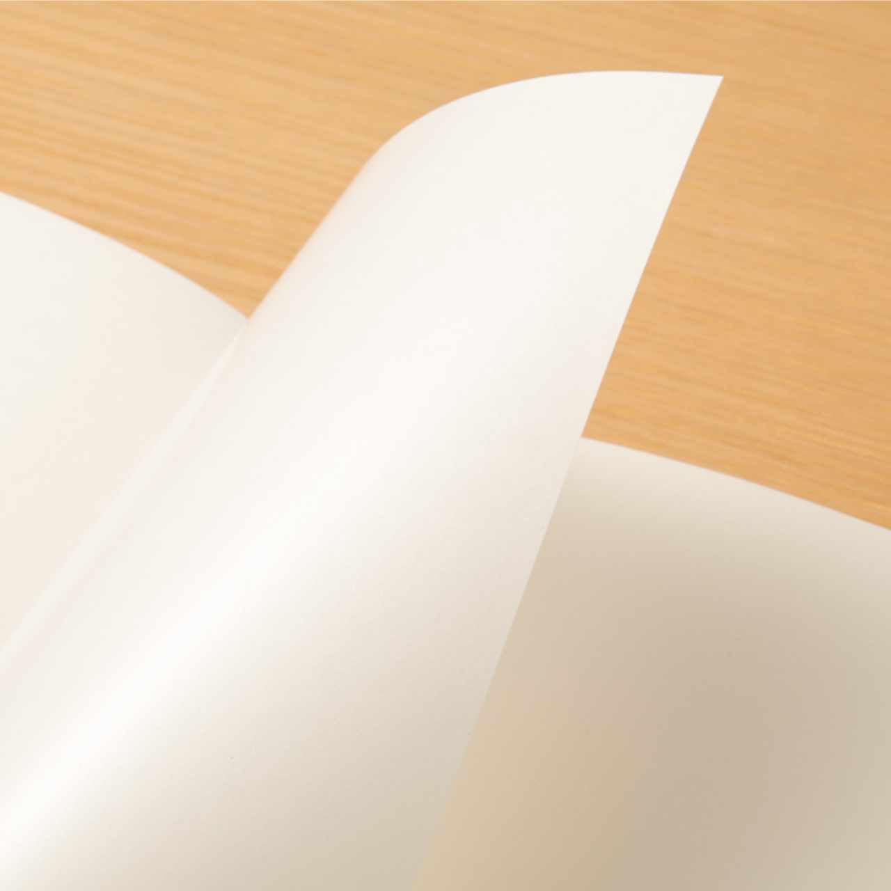 Traveler's Notebook Regular "031" Trägerpapier für Aufkleber