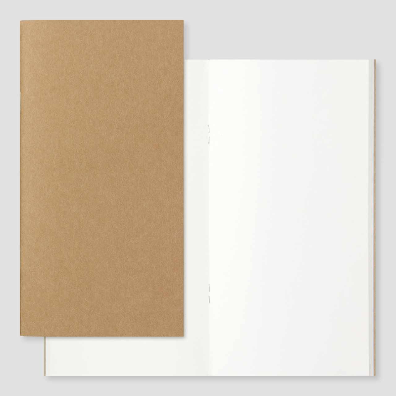Traveler's Notebook Regular Leder olive