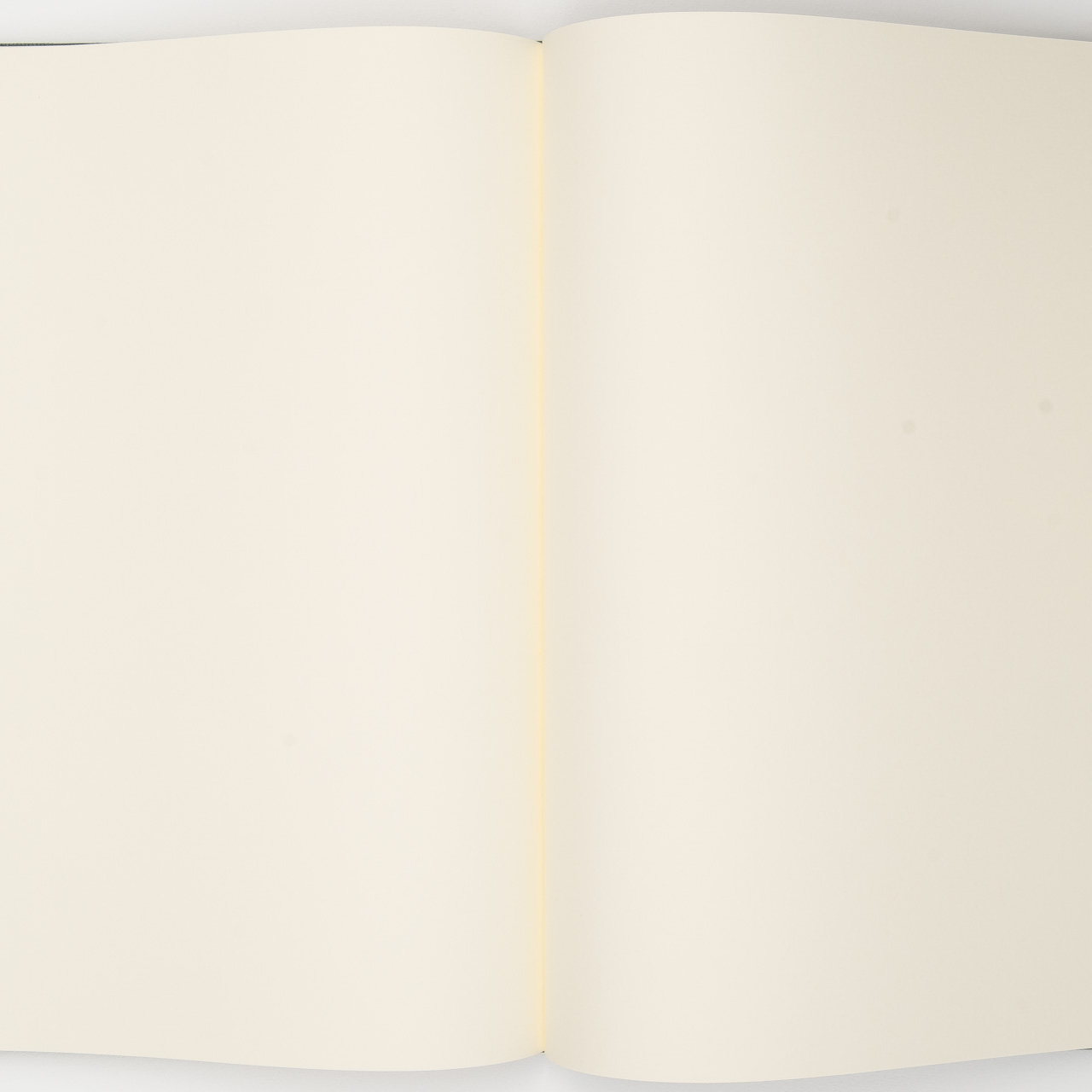 Berliner Notizbuch aus Leinen grün (A4)
