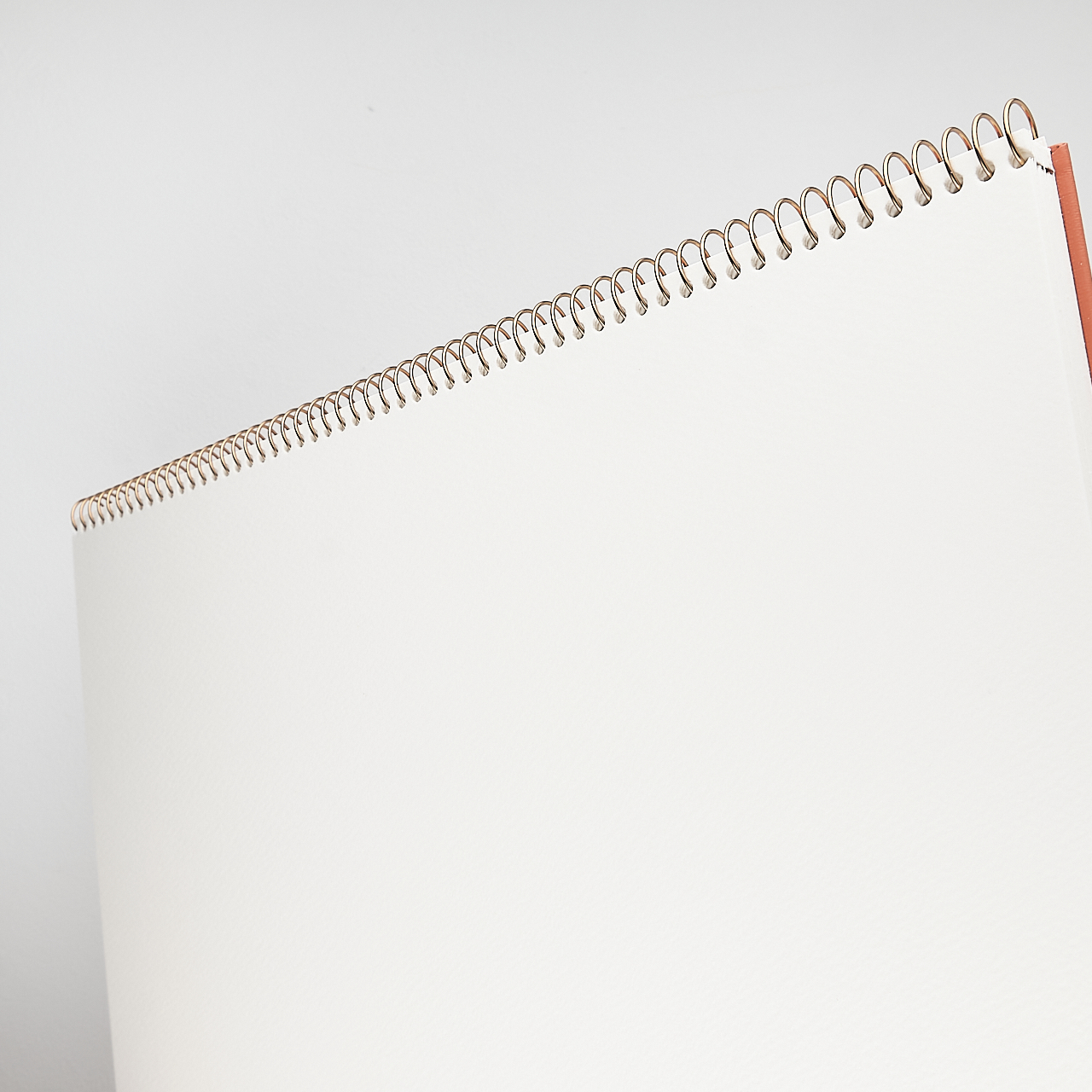 Muse Aquarell Ringbuch Lamp Light F4