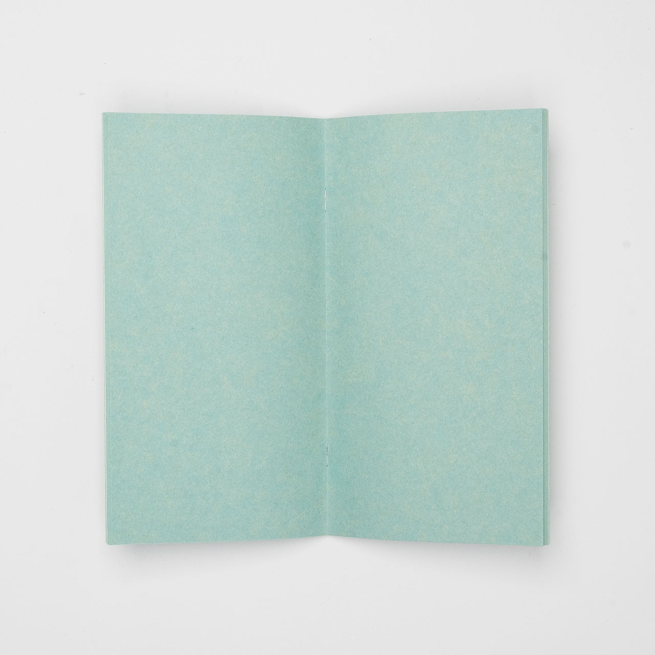STORE ONLY: Traveler's Factory Einlage Regular Kraftpapier grün