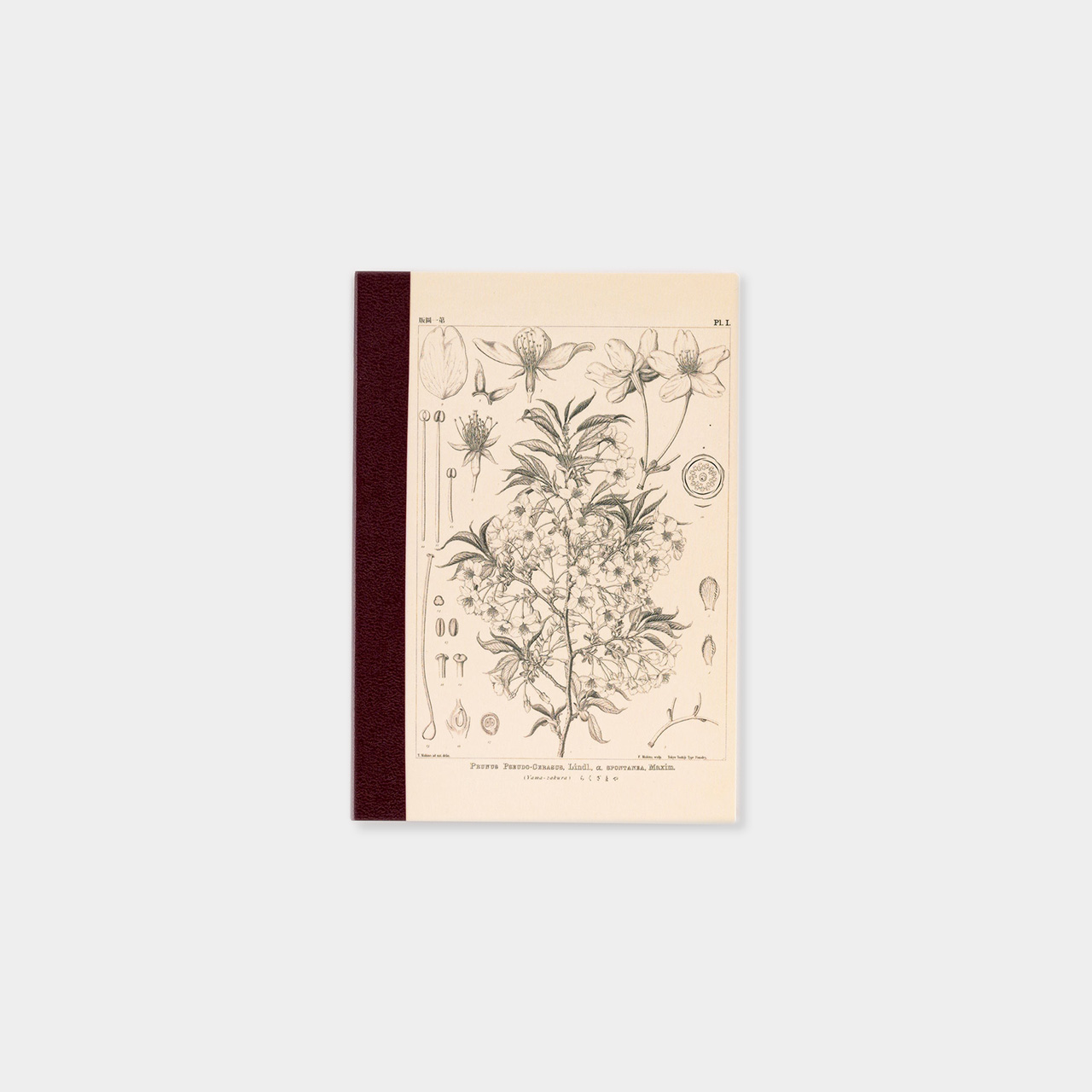 Hobonichi Notizbuch Yamazakura A6