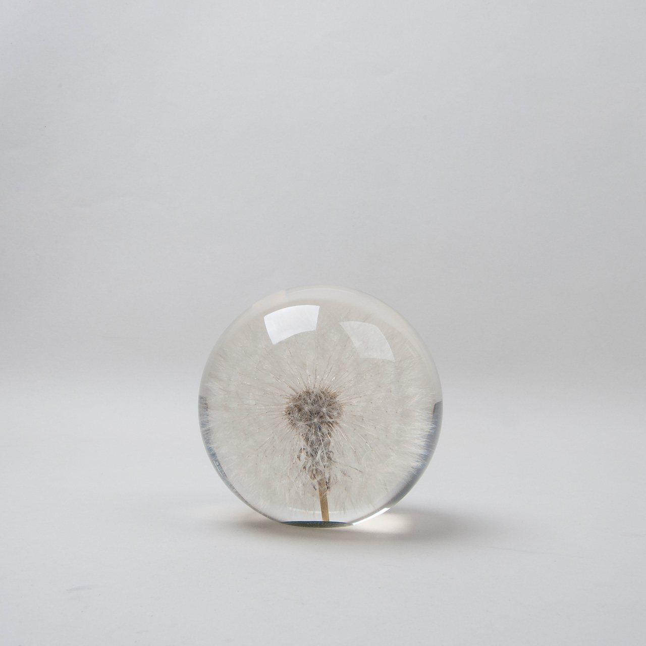 Briefbeschwerer "Pusteblume" groß