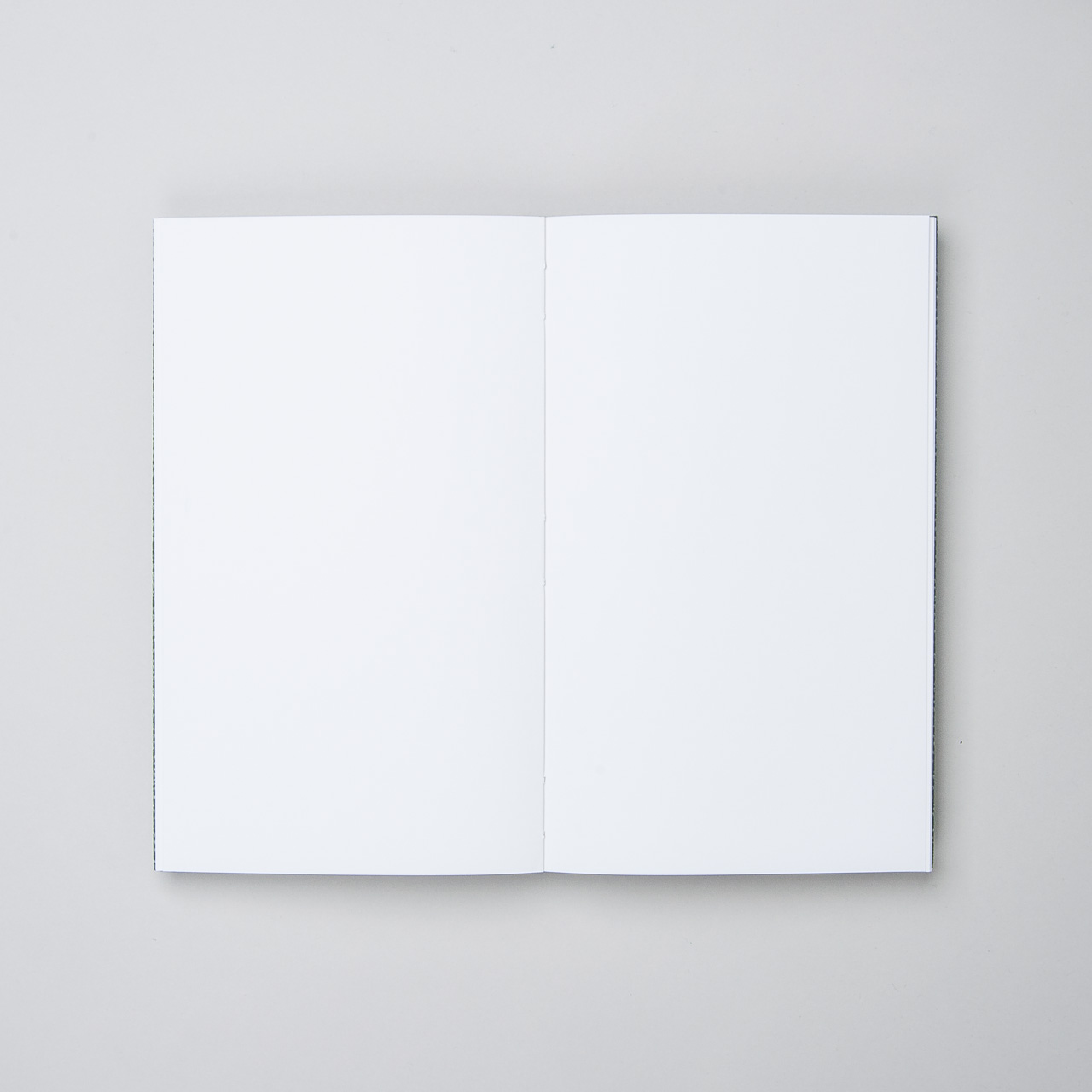KAMI Notizbuch "Beluga"