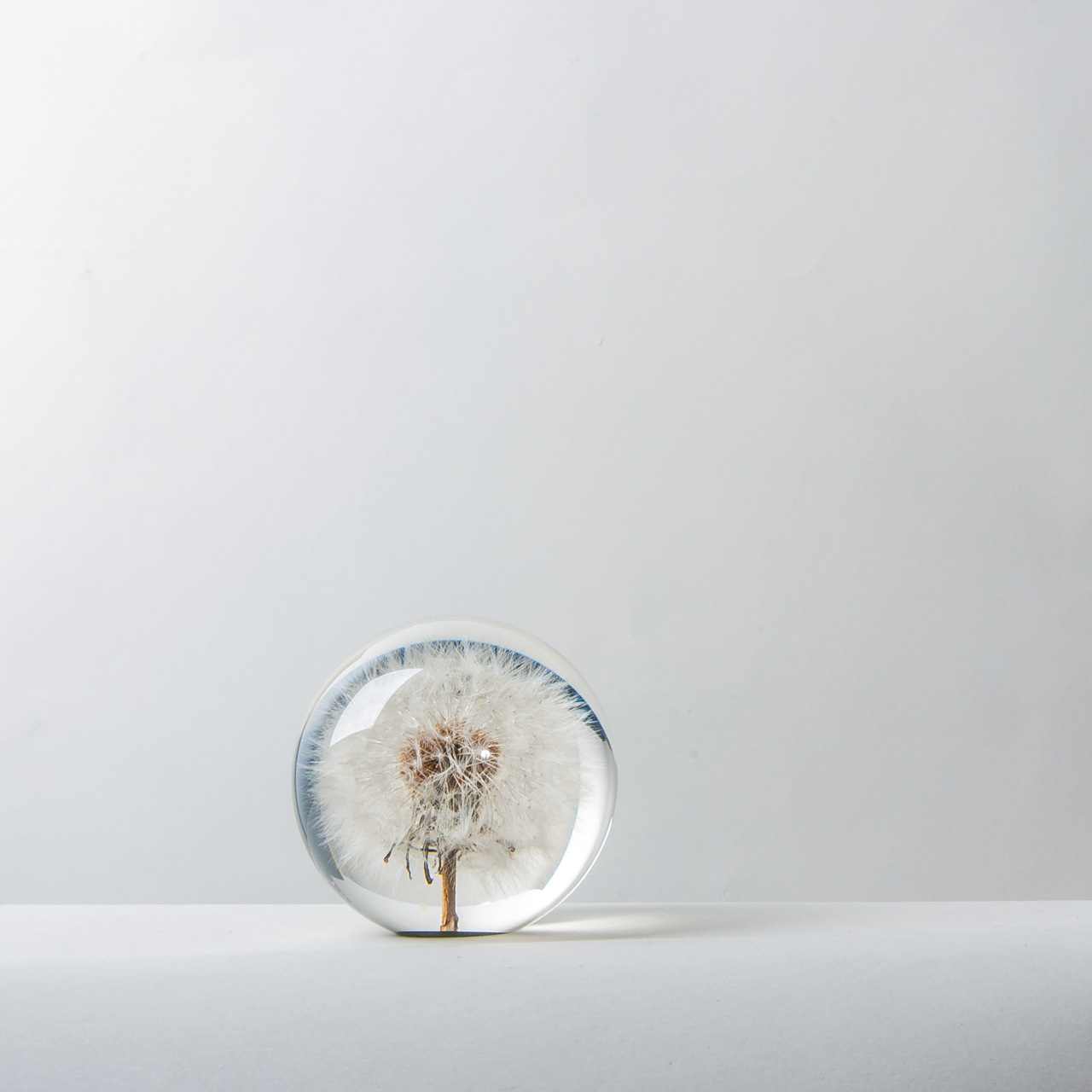Briefbeschwerer "Pusteblume" klein