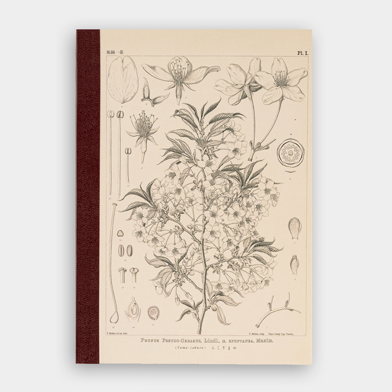 Hobonichi Notizbuch Yamazakura