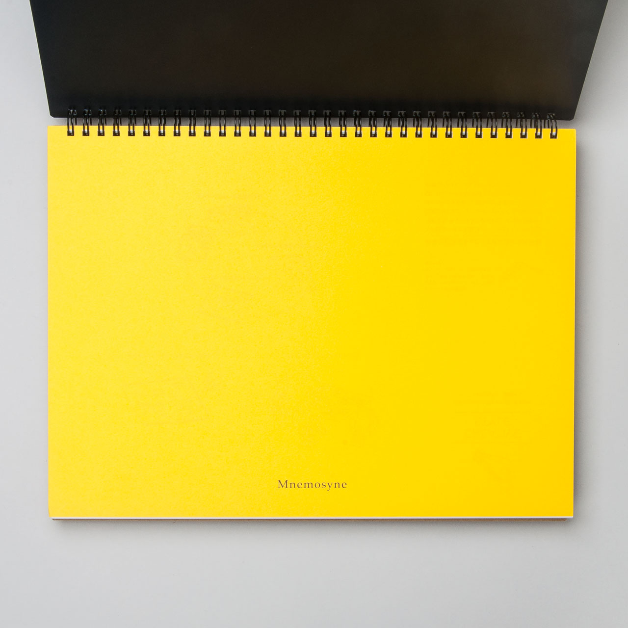 Maruman "Mnemosyne" Ringbuch A4 blanko