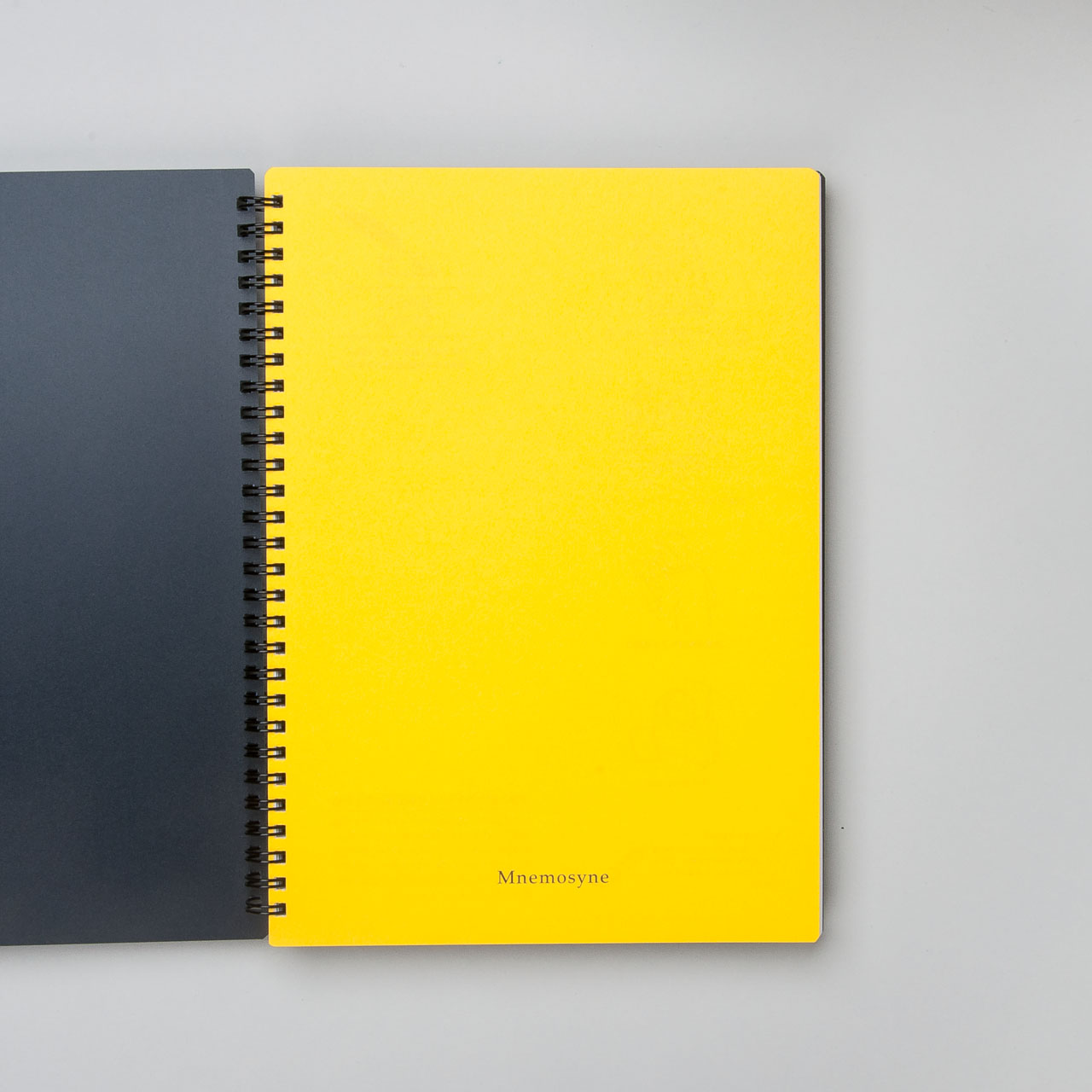 Maruman "Mnemosyne" Ringbuch B5 liniert