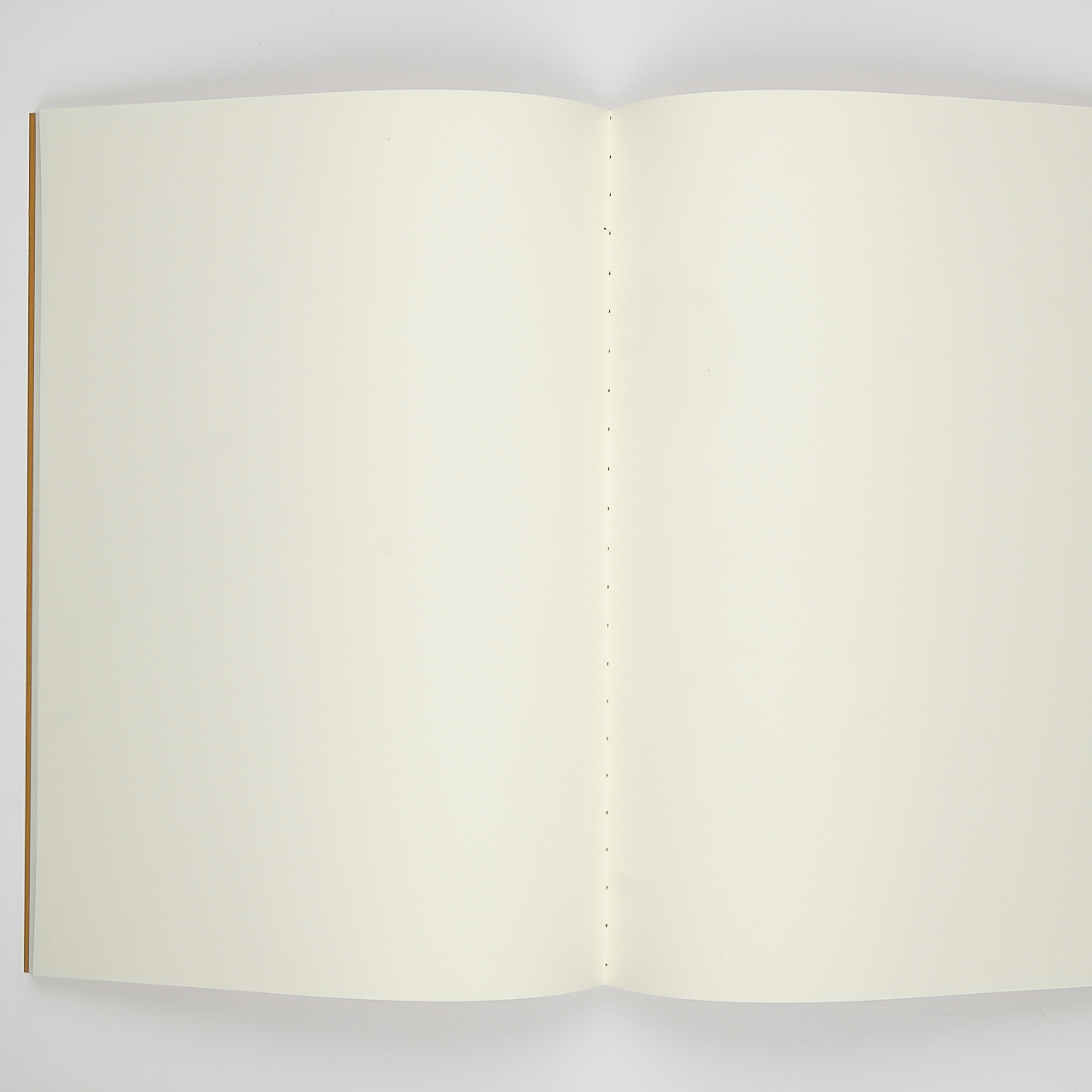 Tsubame Notizbuch Fools Cream blank (B5)