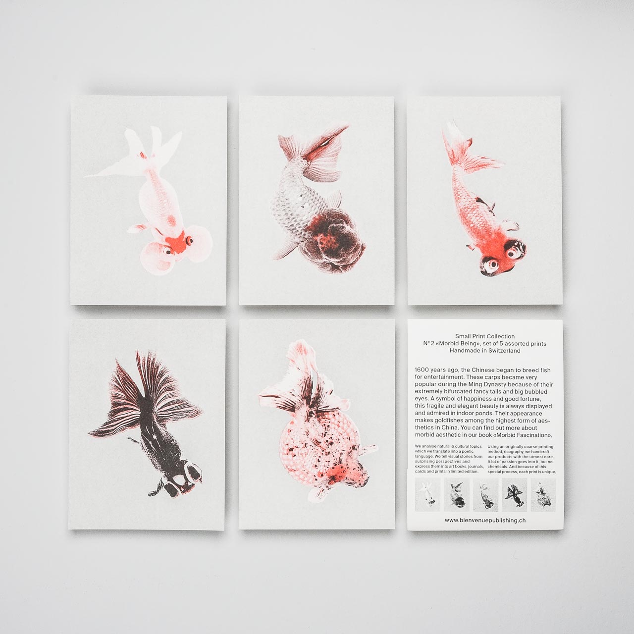 Bienvenue Publishing Karten Set "Morbid Being" 