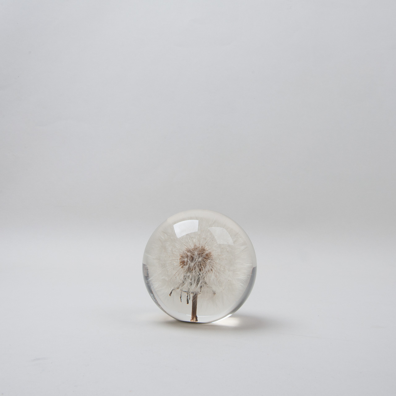 Briefbeschwerer "Pusteblume" klein